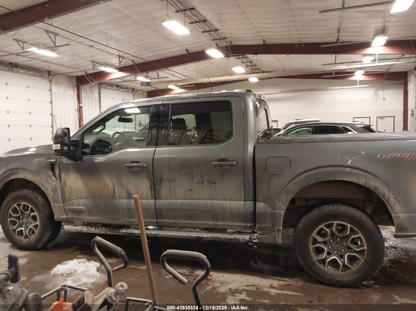 2023 Ford F-150 Xlt VIN: 1FTFW1ED6PFC58542 Lot: 43930324