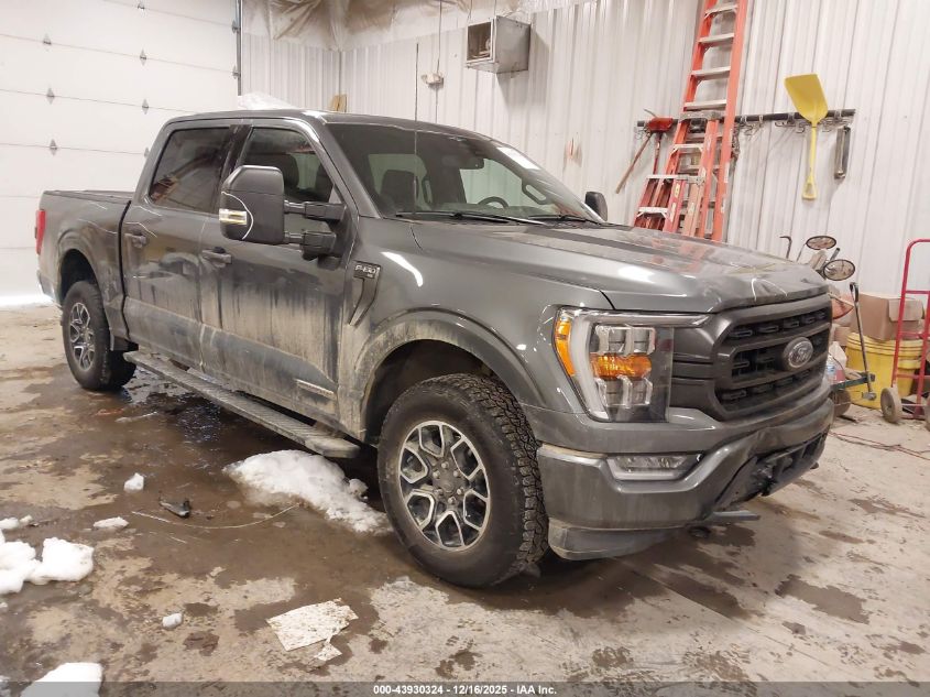 2023 Ford F-150 Xlt VIN: 1FTFW1ED6PFC58542 Lot: 43930324