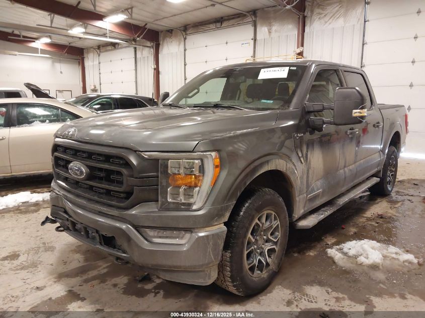 2023 Ford F-150 Xlt VIN: 1FTFW1ED6PFC58542 Lot: 43930324