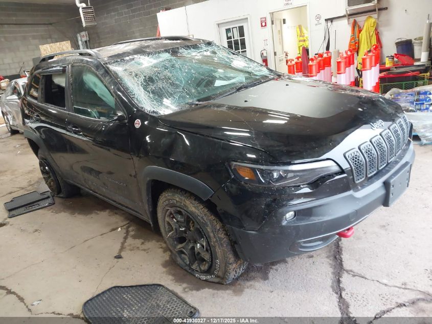 2020 Jeep Cherokee Trailhawk VIN: 1C4PJMBX6LD558106 Lot: 43930327