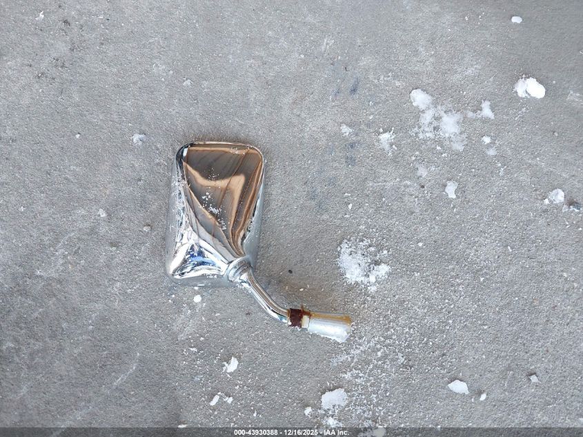 2006 Honda Vt1300 S VIN: 1HFSC52056A310549 Lot: 43930388