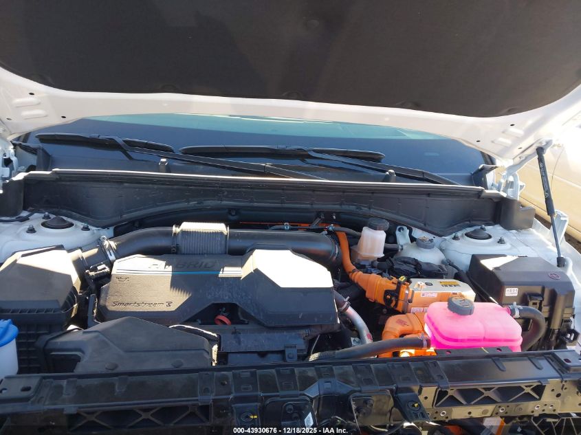 2024 Hyundai Santa Fe Hybrid Calligraphy VIN: 5NMP5DG16RH010180 Lot: 43930676