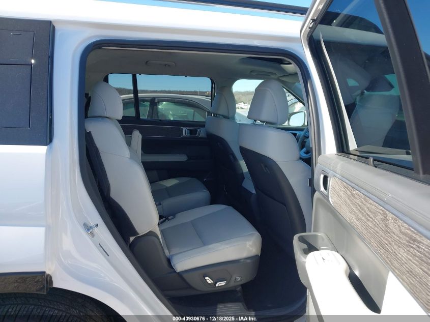 2024 Hyundai Santa Fe Hybrid Calligraphy VIN: 5NMP5DG16RH010180 Lot: 43930676