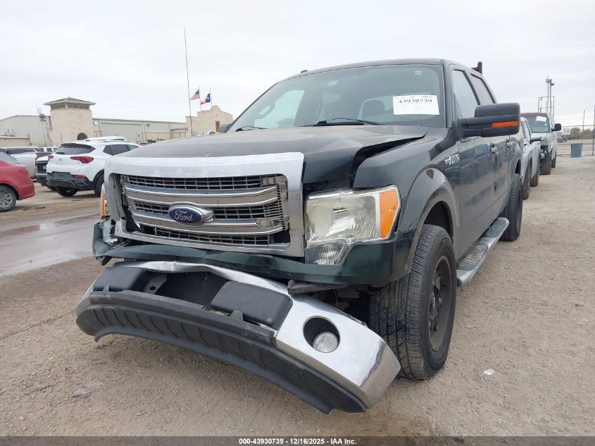2013 Ford F-150 Xlt VIN: 1FTFW1CFXDKF52520 Lot: 43930739