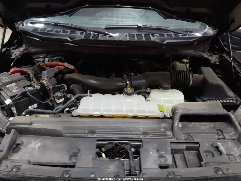 2024 Ford F-150 Xlt VIN: 1FTFW3LD7RFC17404 Lot: 43931027