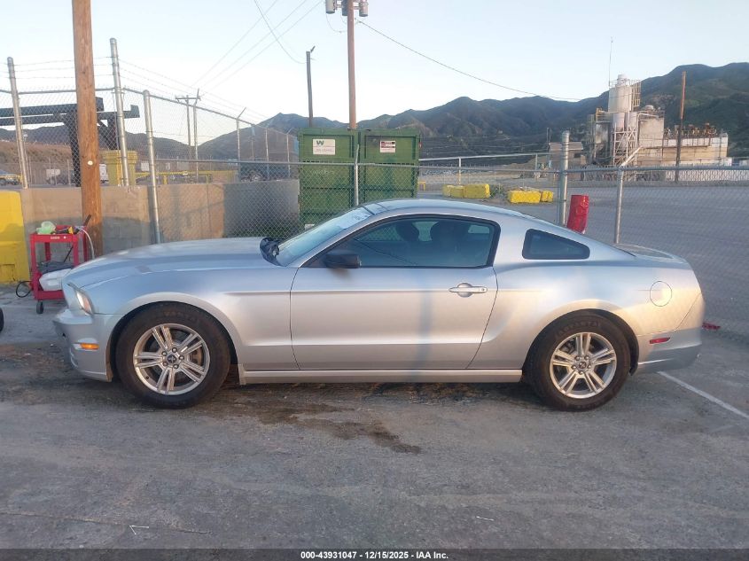 2014 Ford Mustang V6 VIN: 1ZVBP8AM1E5215298 Lot: 43931047