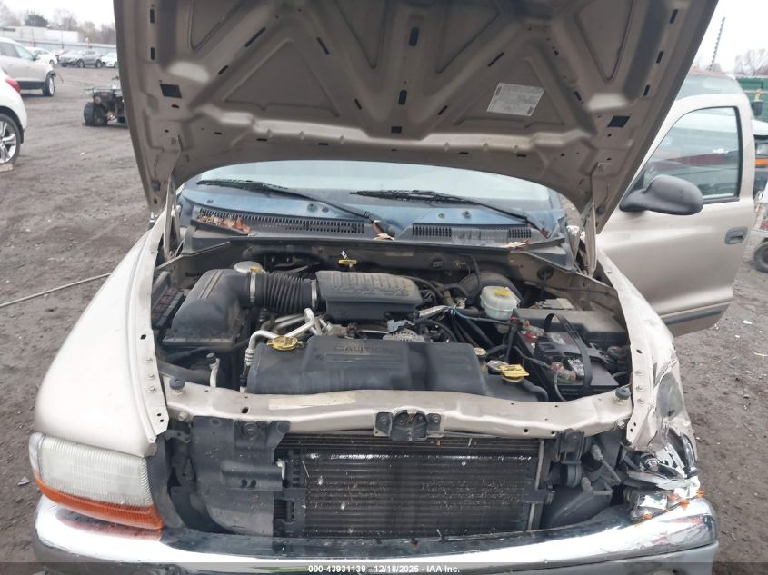 2004 Dodge Dakota Slt VIN: 1D7FL46N24S631845 Lot: 43931139