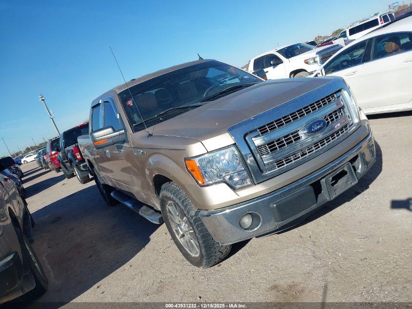 FORD F-150 XLT