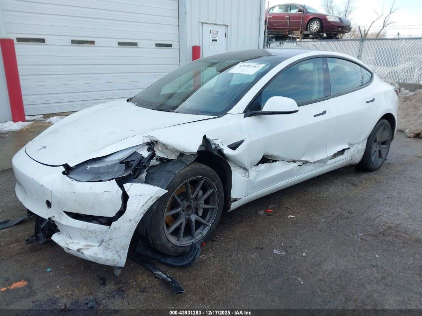 2023 Tesla Model 3 Rear-Wheel Drive VIN: 5YJ3E1EA4PF616320 Lot: 43931283