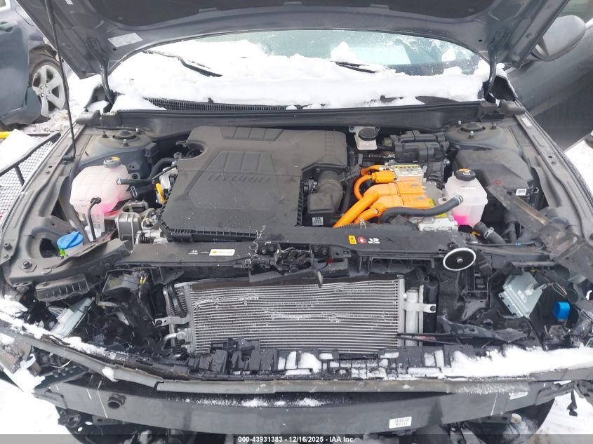 2024 Hyundai Elantra Hybrid Limited VIN: KMHLN4DJ6RU115504 Lot: 43931383