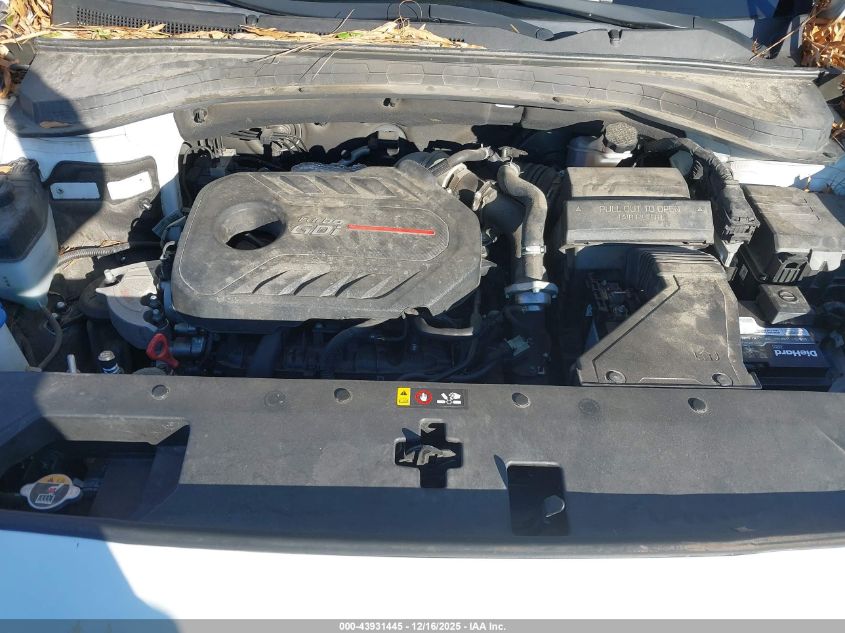 2019 Hyundai Santa Fe Limited 2.0T VIN: 5NMS5CAA5KH013817 Lot: 43931445