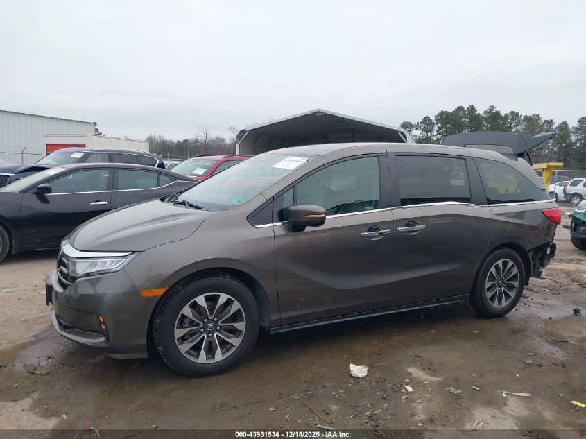 2022 Honda Odyssey Ex-L VIN: 5FNRL6H78NB035493 Lot: 43931534