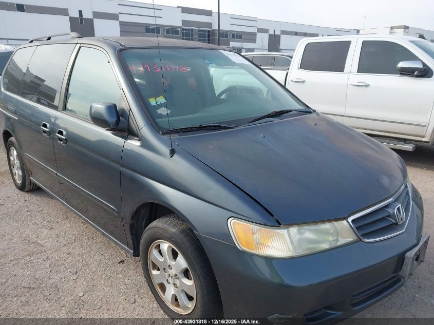 2004 Honda Odyssey Ex VIN: 5FNRL18834B139058 Lot: 43931818