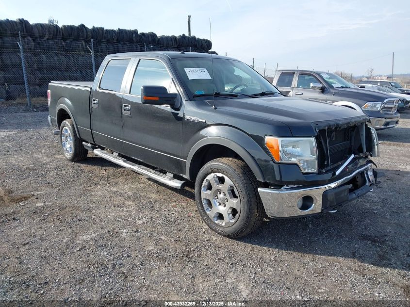 FORD F-150 FX4/HARLEY-DAVIDSON/KING RANCH/LARIAT/PLATINUM/XL/XLT
