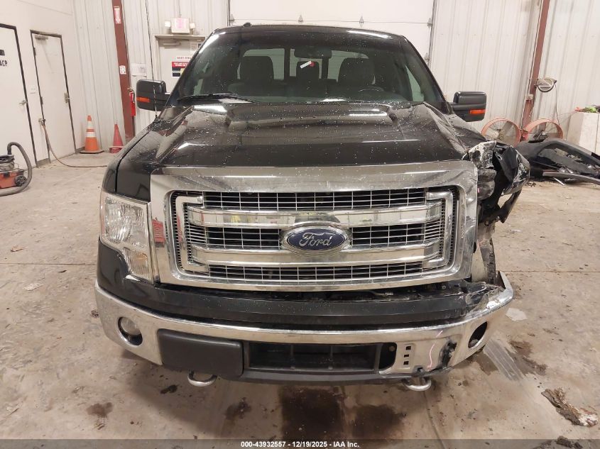 2014 Ford F-150 Xlt VIN: 1FTFX1EF4EFB59410 Lot: 43932557