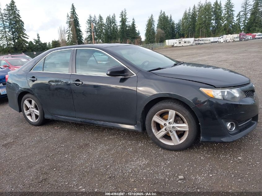 2013 Toyota Camry Se VIN: 4T1BF1FK1DU219033 Lot: 43933867