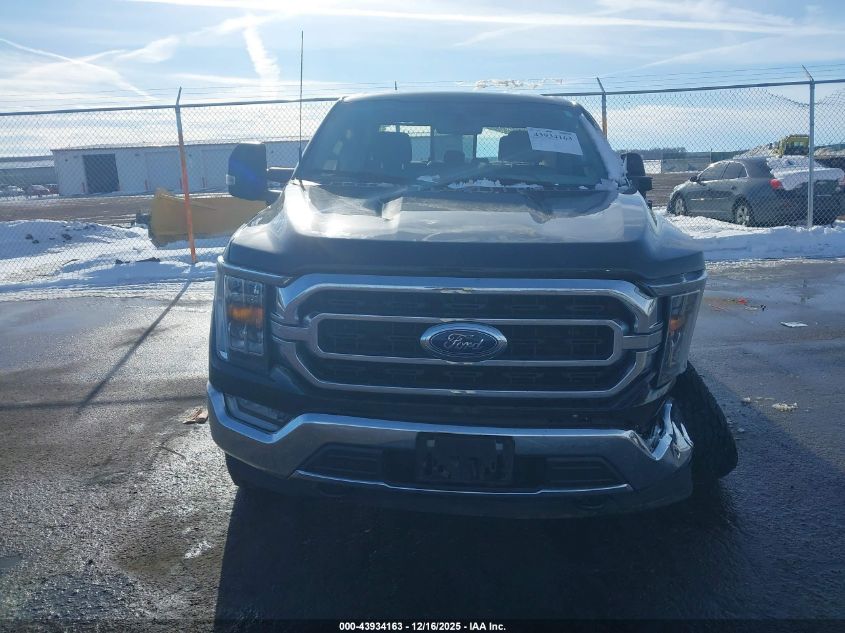 2023 Ford F-150 Xlt VIN: 1FTFW1E88PFB36297 Lot: 43934163