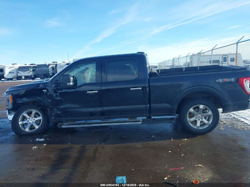 2023 Ford F-150 Xlt VIN: 1FTFW1E88PFB36297 Lot: 43934163