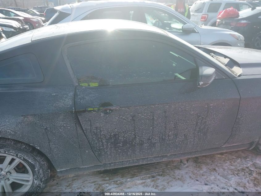 2013 Ford Mustang V6 VIN: 1ZVBP8AMXD5280942 Lot: 43934355