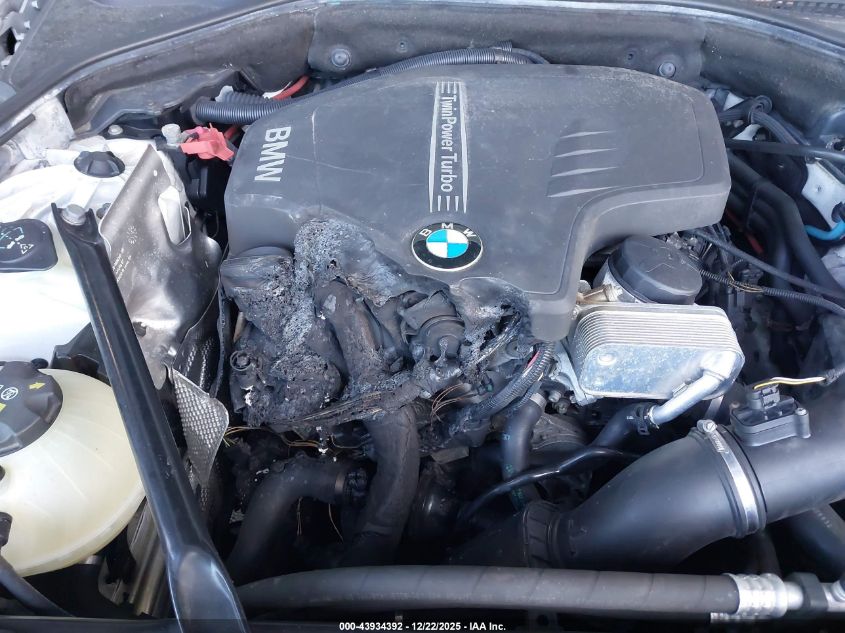 2015 BMW 528I xDrive VIN: WBA5A7C59FD627796 Lot: 43934392