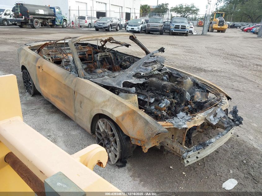 FORD SHELBY GT500 SHELBY GT500