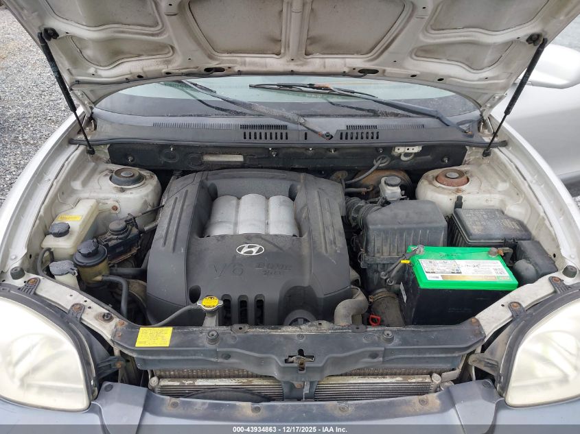 2003 Hyundai Santa Fe Gls/Lx VIN: KM8SC13DX3U526973 Lot: 43934863