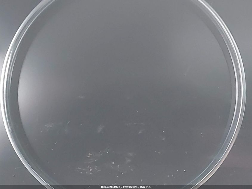 2021 Mazda Cx-9 Grand Touring VIN: JM3TCBDY8M0534439 Lot: 43934973