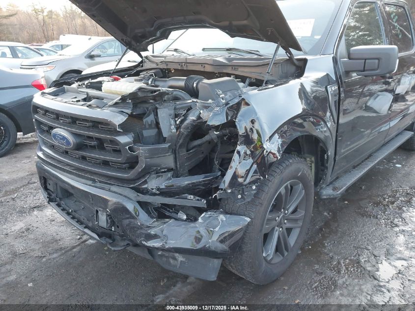 2023 Ford F-150 Xlt VIN: 1FTFW1E88PFA16841 Lot: 43935009