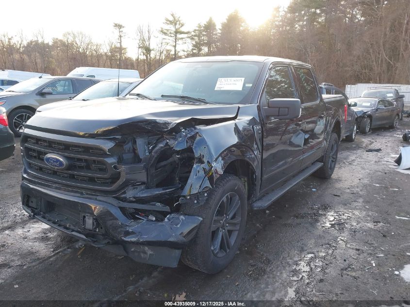 2023 Ford F-150 Xlt VIN: 1FTFW1E88PFA16841 Lot: 43935009