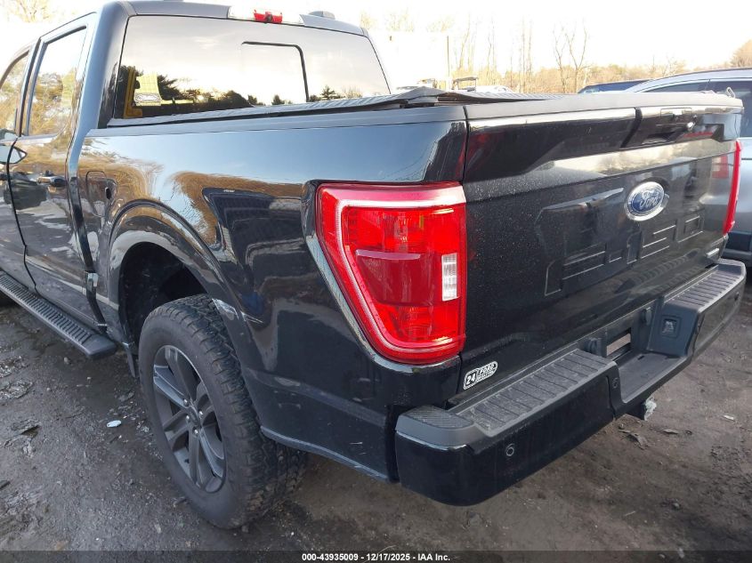 2023 Ford F-150 Xlt VIN: 1FTFW1E88PFA16841 Lot: 43935009