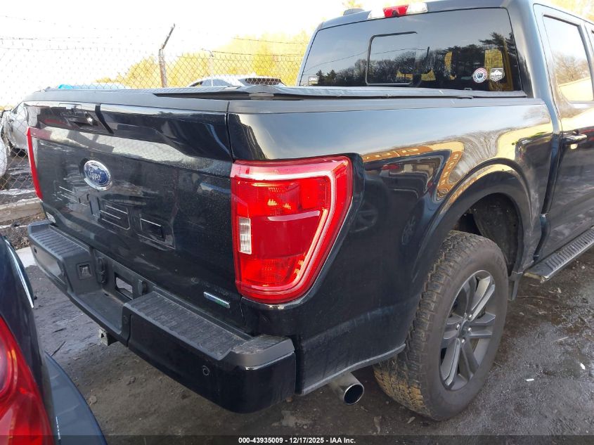 2023 Ford F-150 Xlt VIN: 1FTFW1E88PFA16841 Lot: 43935009