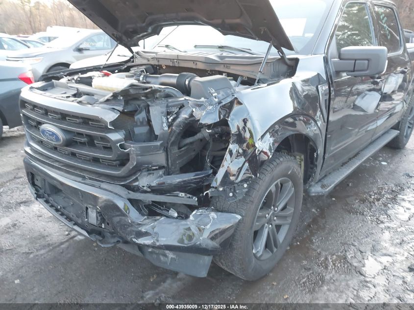 2023 Ford F-150 Xlt VIN: 1FTFW1E88PFA16841 Lot: 43935009