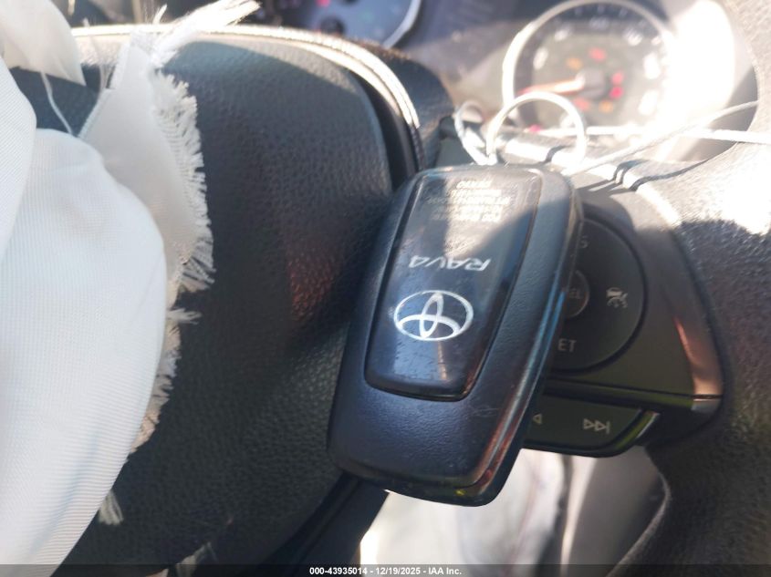 2019 Toyota Rav4 Xle VIN: 2T3P1RFV3KC009486 Lot: 43935014