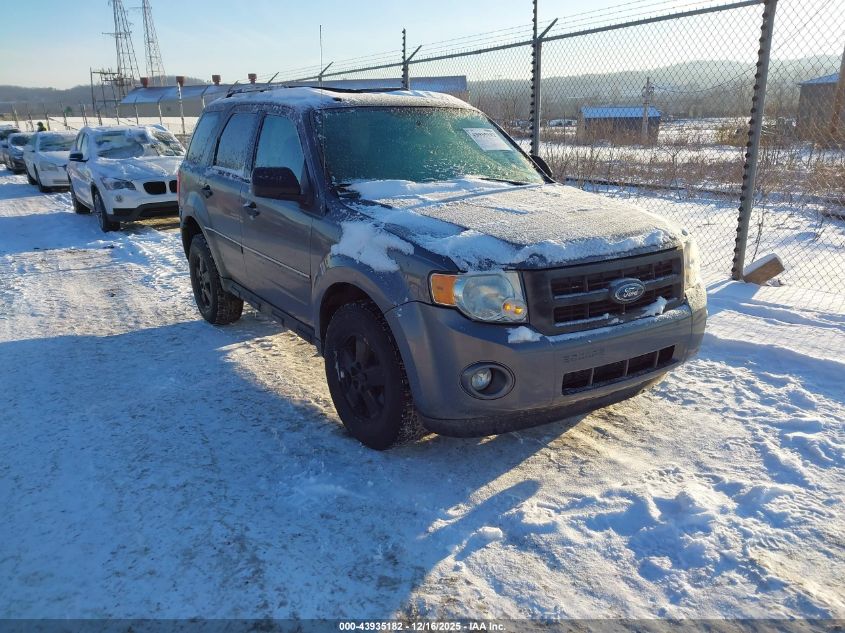 FORD ESCAPE XLT