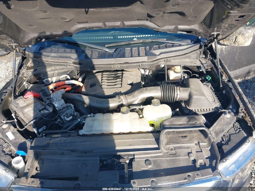 2021 Ford F-150 Xlt VIN: 1FTFW1ED2MFC60347 Lot: 43935447