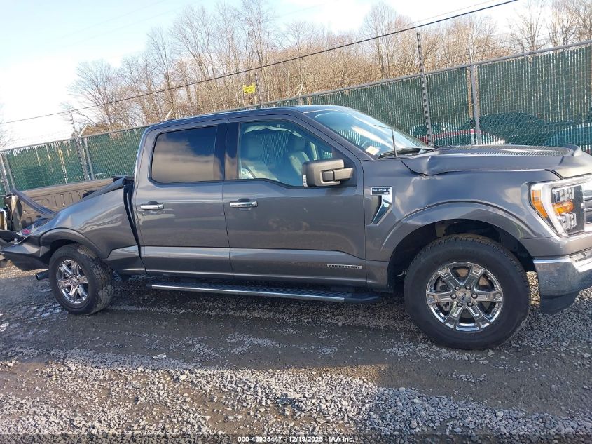 2021 Ford F-150 Xlt VIN: 1FTFW1ED2MFC60347 Lot: 43935447