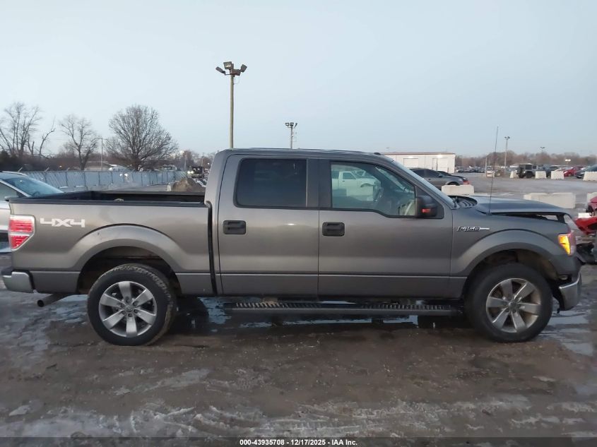2013 Ford F-150 Xlt VIN: 1FTFW1EF3DKF35491 Lot: 43935708