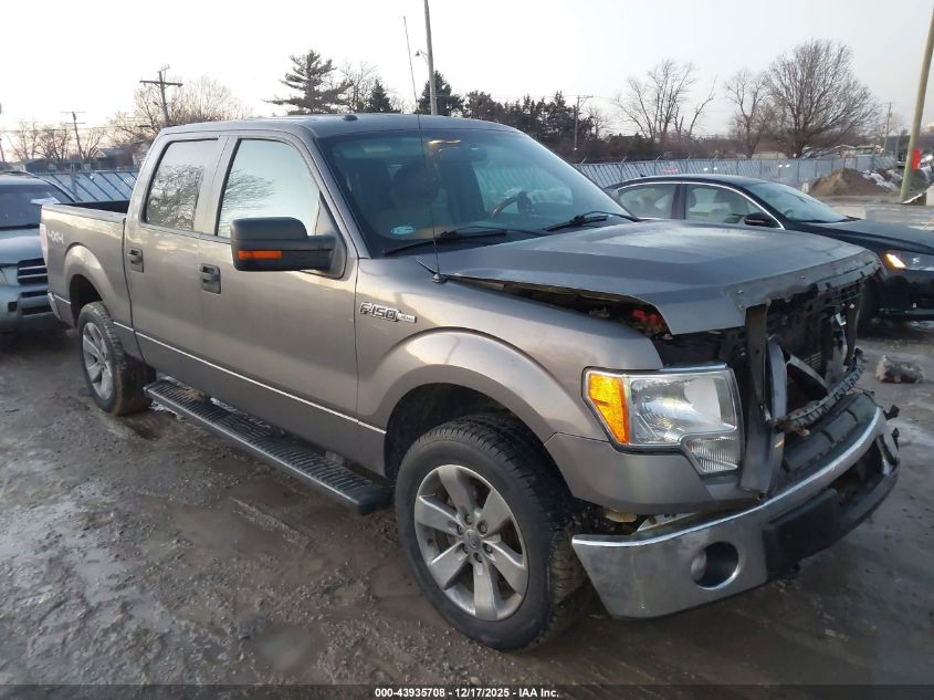 2013 Ford F-150 Xlt VIN: 1FTFW1EF3DKF35491 Lot: 43935708
