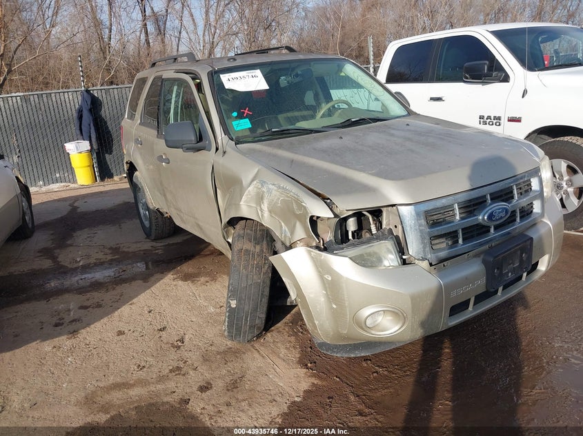 2010 Ford Escape Xlt