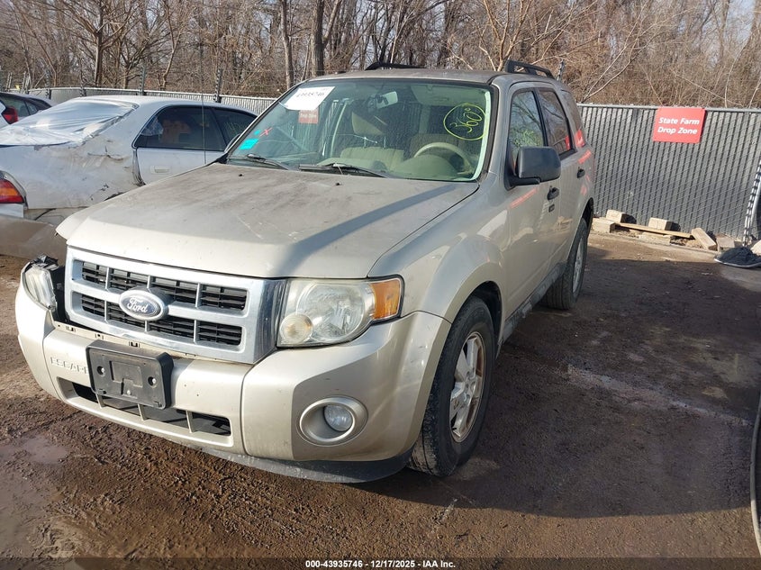 2010 Ford Escape Xlt