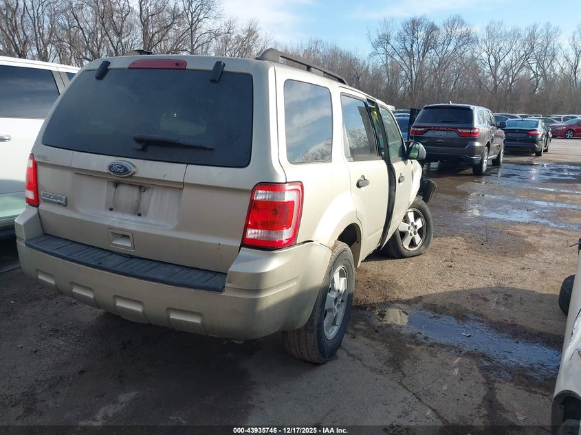 2010 Ford Escape Xlt