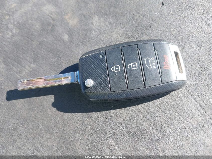 2014 Kia Sorento Lx VIN: 5XYKT3A62EG439285 Lot: 43936603