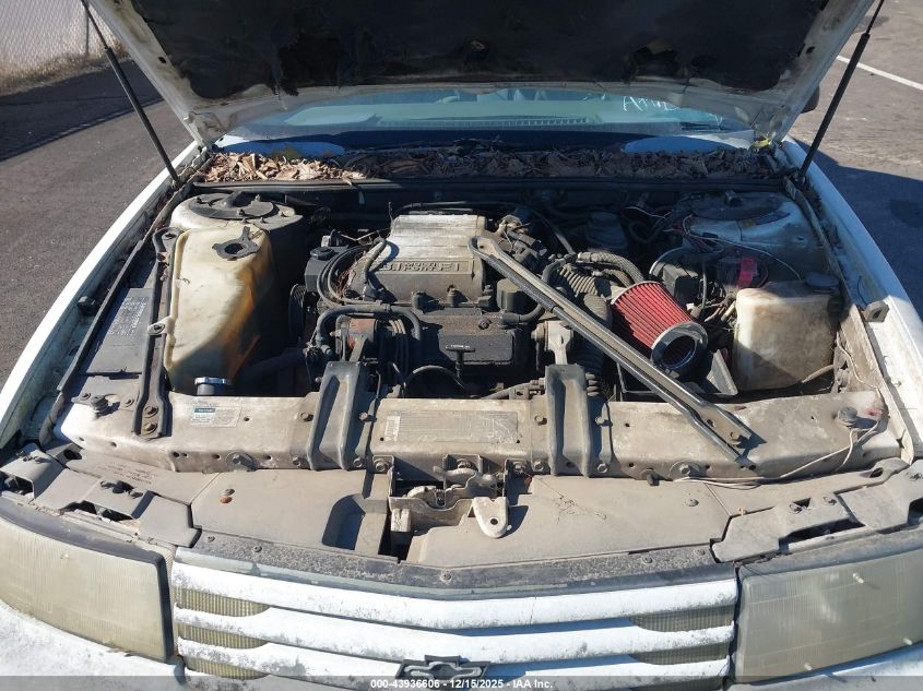 1991 Chevrolet Lumina Euro VIN: 2G1WN54T8M1150826 Lot: 43936606