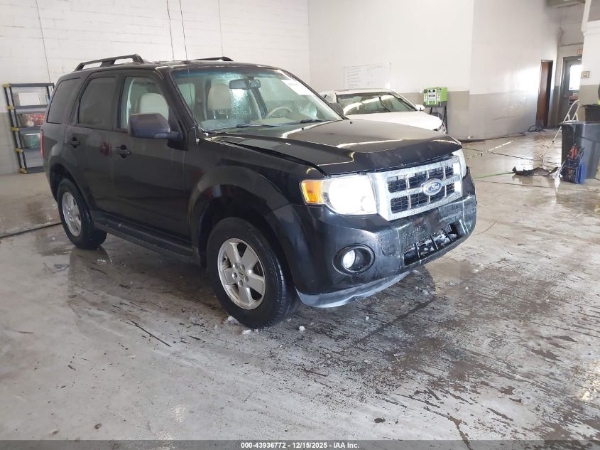 FORD ESCAPE XLT
