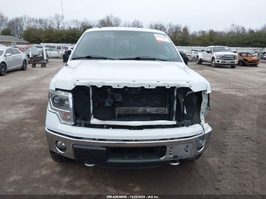 2014 Ford F-150 Xlt VIN: 1FTFW1ET0EFB58151 Lot: 43936896