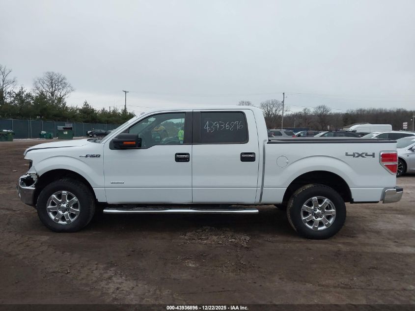 2014 Ford F-150 Xlt VIN: 1FTFW1ET0EFB58151 Lot: 43936896