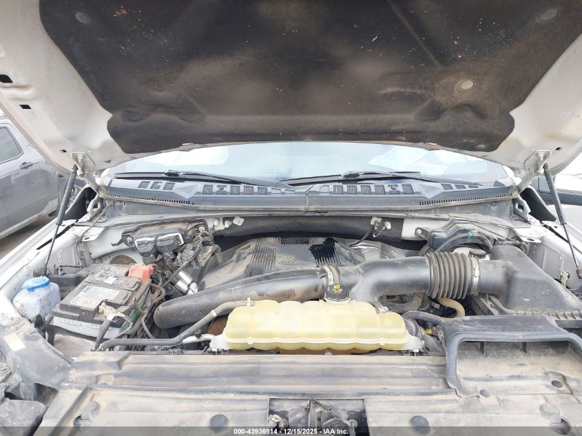 2019 Ford F-150 Platinum VIN: 1FTEW1E44KFB95557 Lot: 43936914