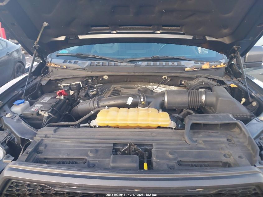 2017 Ford F-150 Raptor VIN: 1FTFW1RGXHFA63243 Lot: 43936915