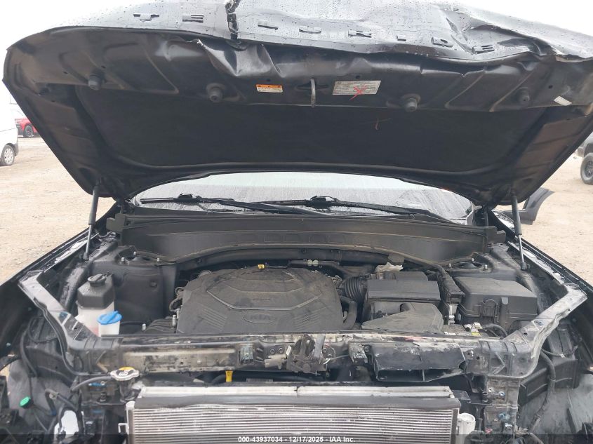 2021 Kia Telluride Ex VIN: 5XYP3DHC1MG180620 Lot: 43937034