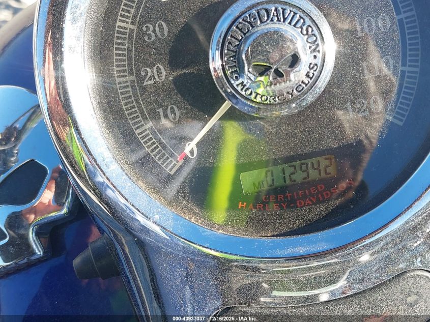 2006 Harley-Davidson Fxstd VIN: 1HD1BSY146Y058029 Lot: 43937037